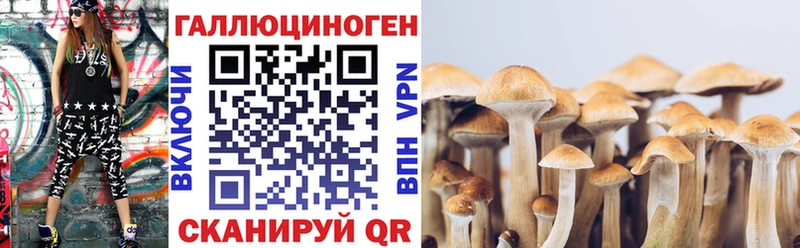продажа наркотиков  блэк спрут ссылки  Галлюциногенные грибы GOLDEN TEACHER  Петровск 